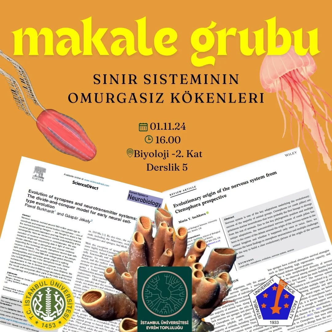 Makale Grubu: Sinir Sisteminin Omurgasız Kökenleri